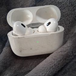IPad Ear Buds 