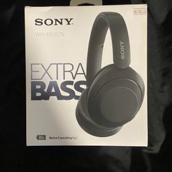 Sony WHXB910