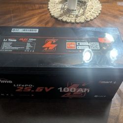 24V 100Ah Lithium Battery for Marine Trolling Motor