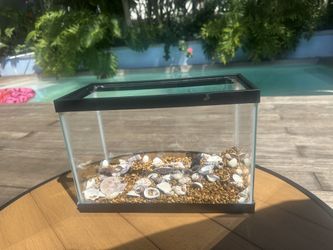 2.5 Gallon Fish Tank