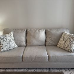 Light Grey Couch