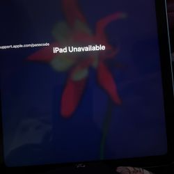 iPad 
