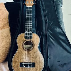 Donner Ukulele Instrument