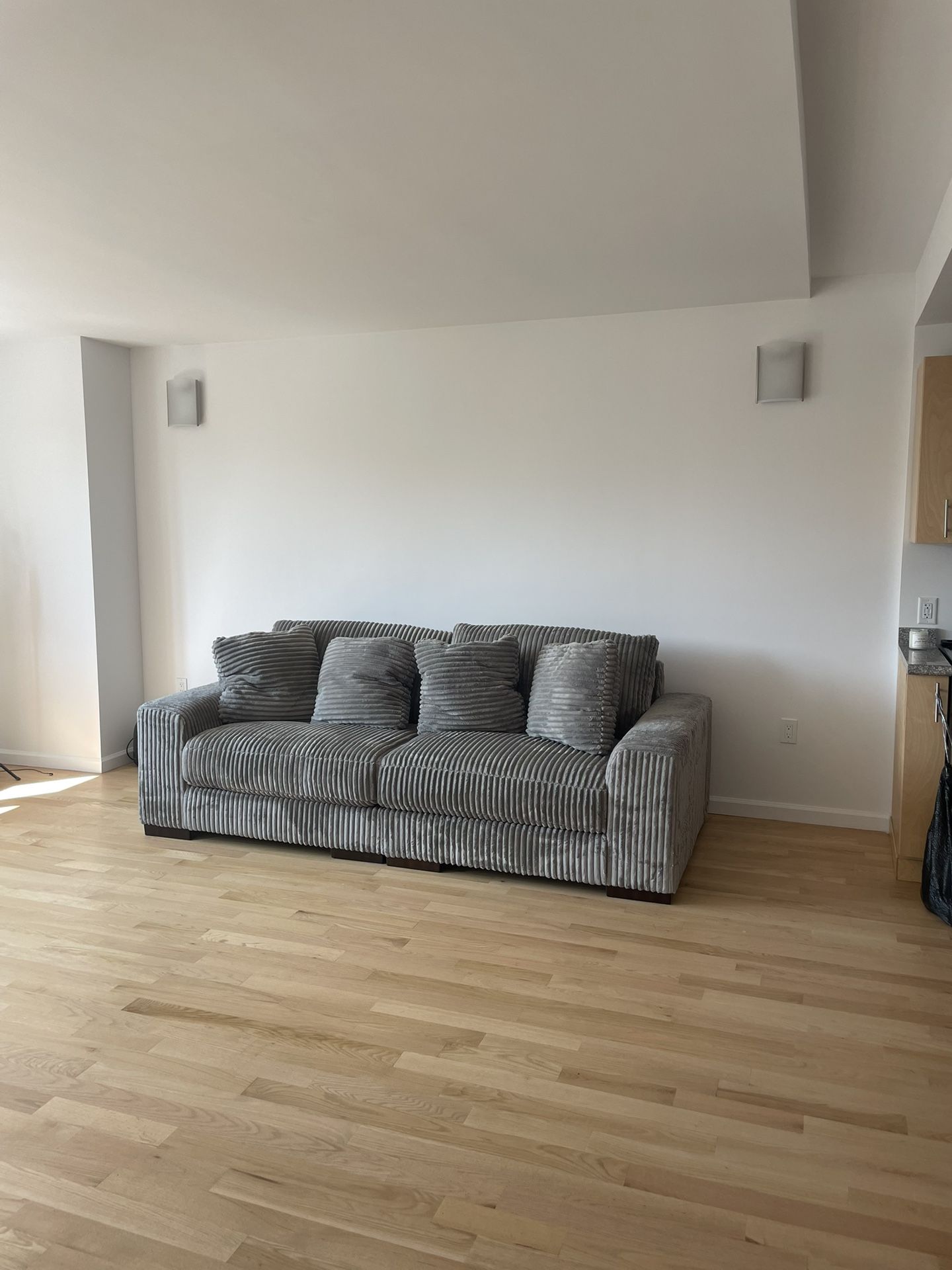 Couch (2 Piece Loveseat)