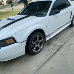 2000 Ford Mustang