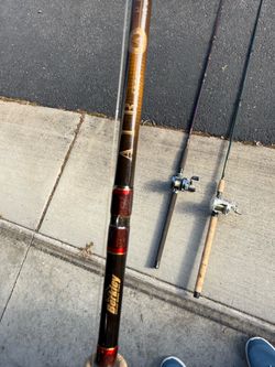 Berkley Buzz Ramsey 8’6 Rod
