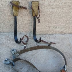 Cinto Y Picos Para Subir Árboles 