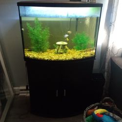 36 Gallon Fish Tank W Cabinet doors Below 