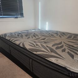 FREE QUEEN MANCINI MATTRESS 