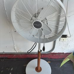 Fan