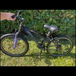 Schwinn Sidewinder Bike 24”