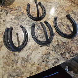 Horse Shoe Reign/ Coat Hangers