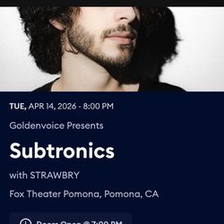 Subtronics