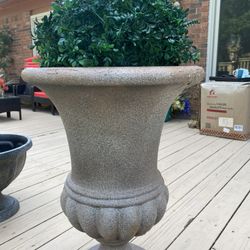 Very  Gorgeous Pots  And  Plants 