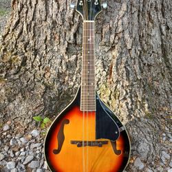 Brand New Mandolin 