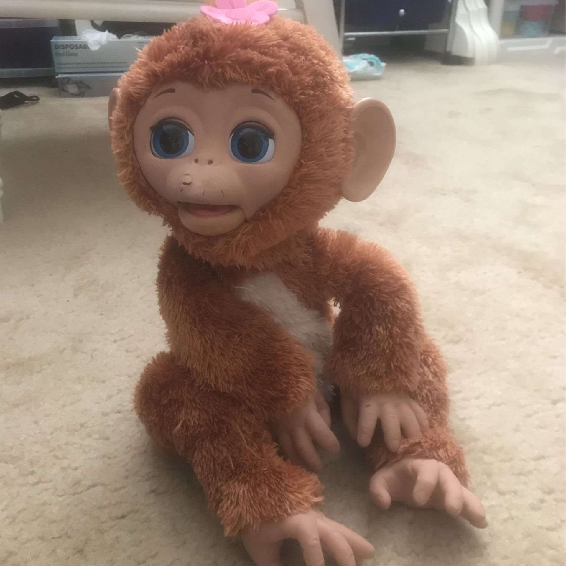 Monkey