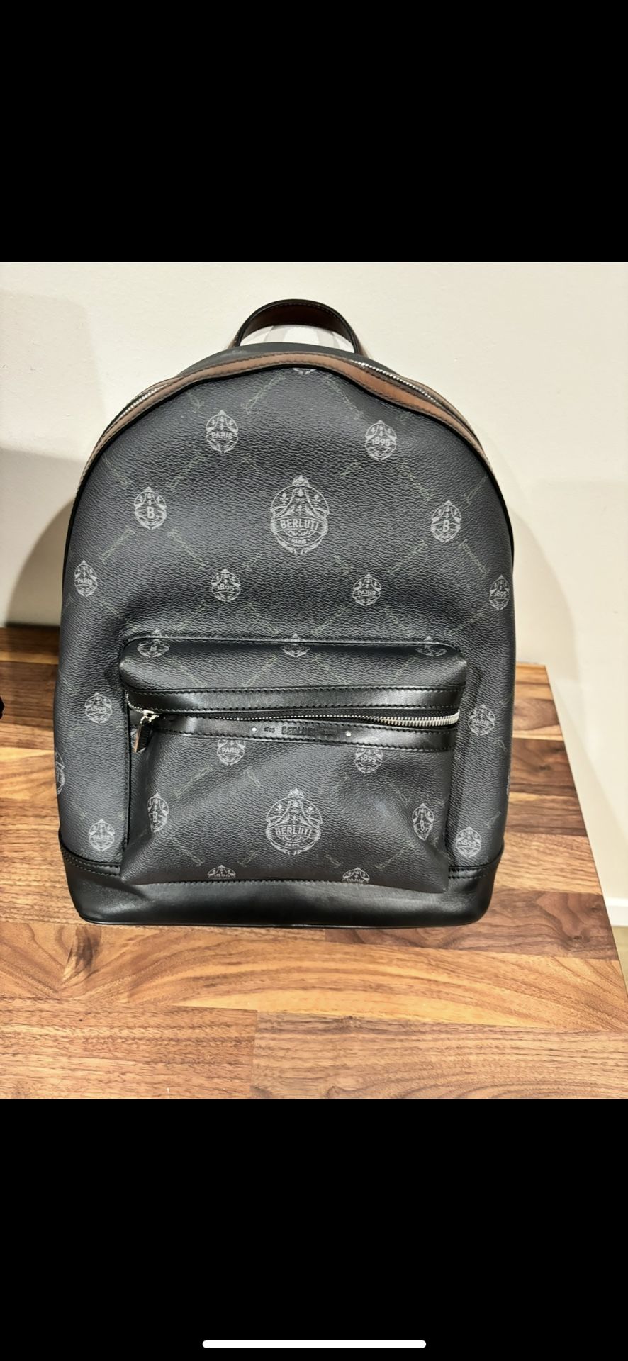 Berluti Leather Canvas Backpack