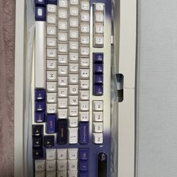Mechanical Keyboards 