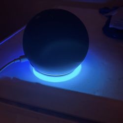 Alexa -Speaker
