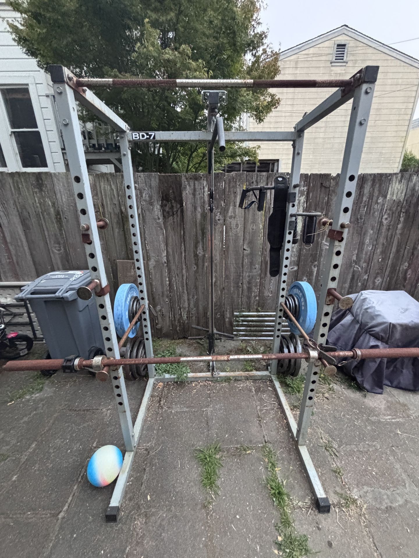 Free Gym Equipment