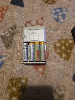 Rechargeable Batteries With Charger