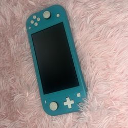 Nintendo Lite