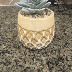 Faux Succulent