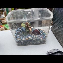 One Fish Aquarium 