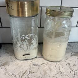 Sourdough Starter 100g