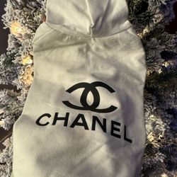 Yorkiepoo Toy Poodles Nice Stuff 