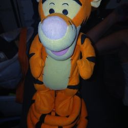 Bouncing Stuffed Tigger