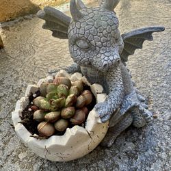Dragon 🐉 W Egg 🥚 Planter - Succulent Included 🪴 