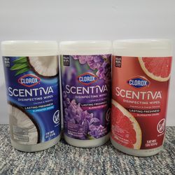 Clorox Wipes Bundle 
