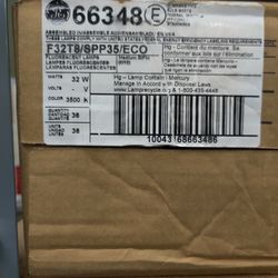 T8 Fluorescent 4' Bulbs