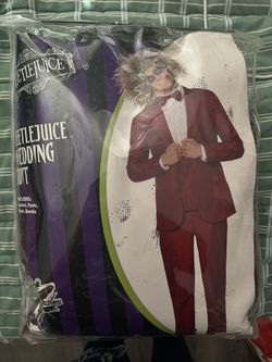 Beetle Juice Men’s Costume