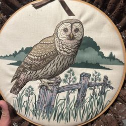 Vintage Owl Embroidered Wall Art 