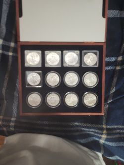 12 Uncirculated Silver Eagles!!