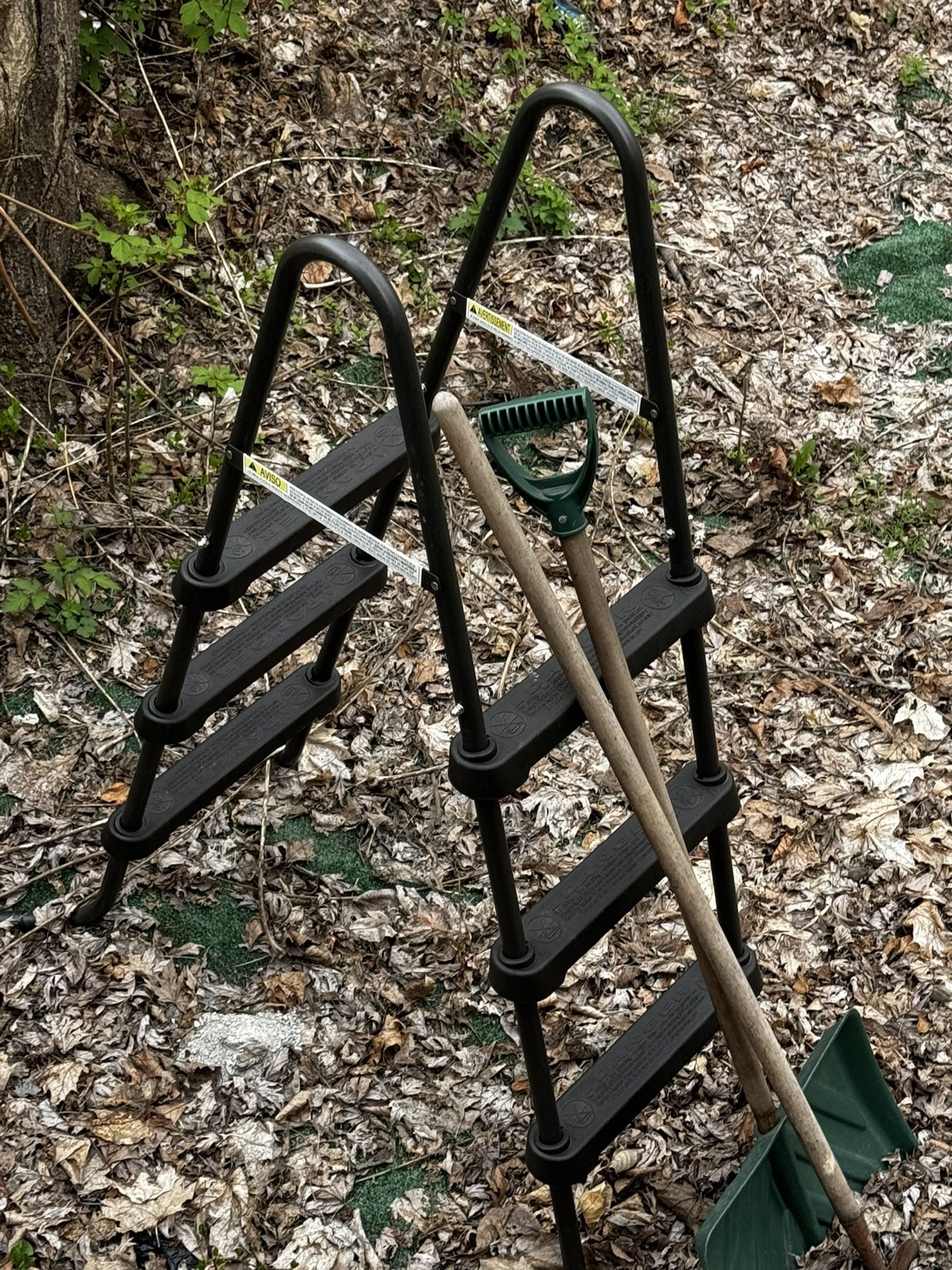 Ladder For Sale Never Used $50.00