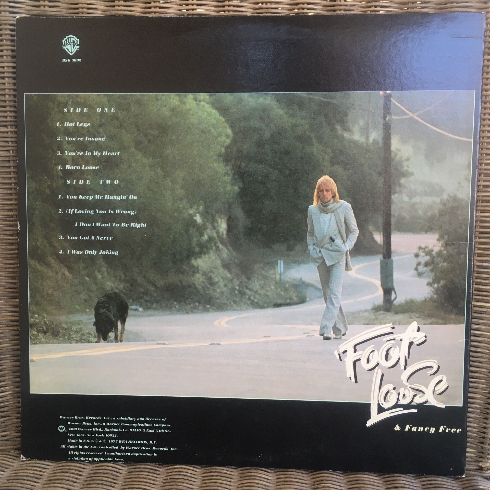 Rod Stewart Vinyl Record