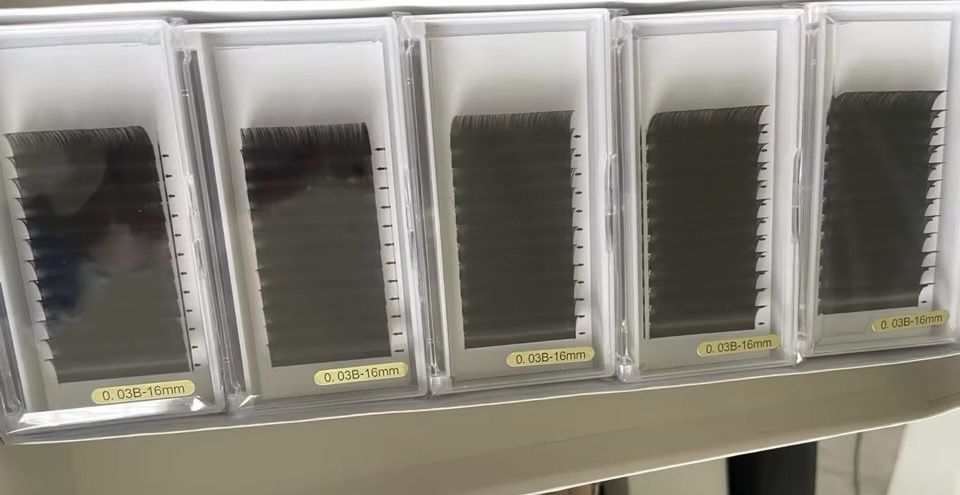 Lash Trays