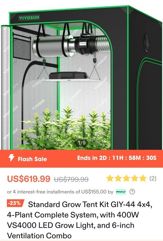 Grow Tent 