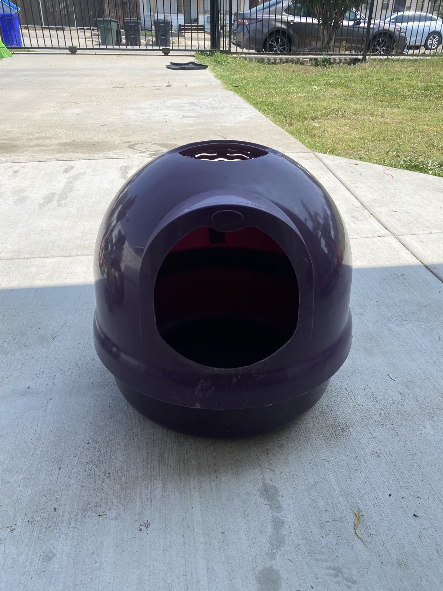 Litter Box