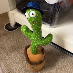 Cactus Dancing And Record Voice For 10 