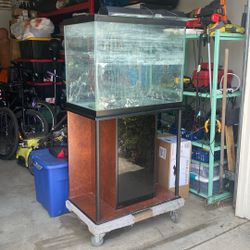 40-gallon Tank With Stand