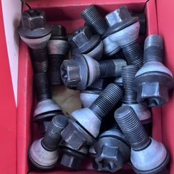OEM BMW lug  Nuts