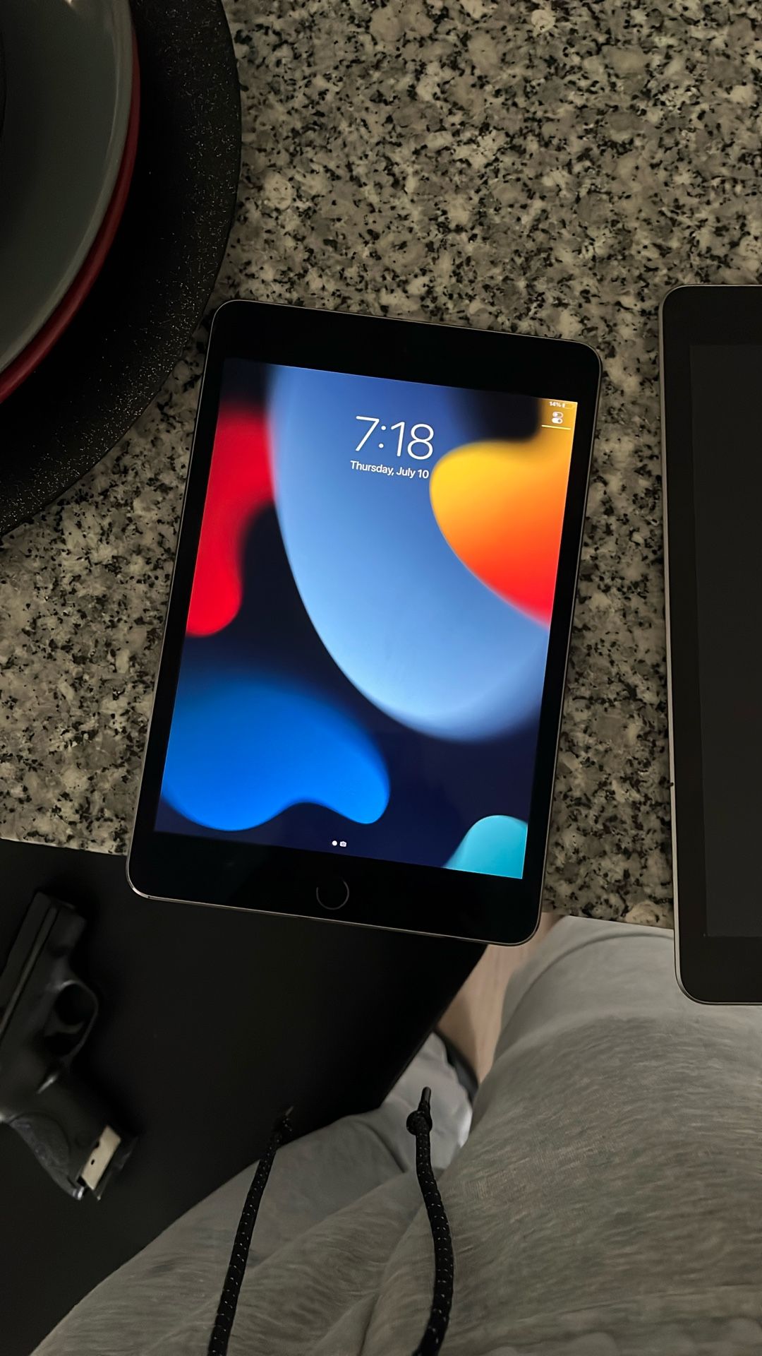 Brand New iPad Mini 