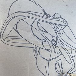 Car seat it’s new but has the box ripped $50