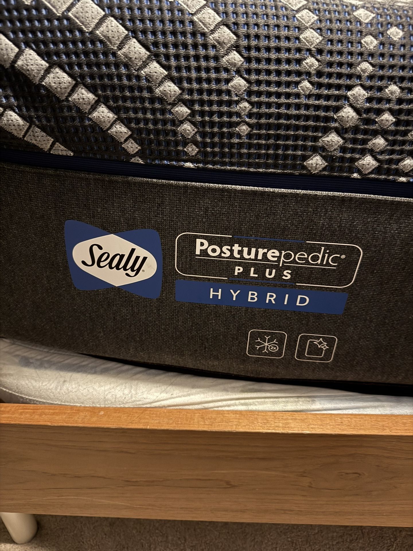 FULL High End Sealy Posture-Pedic Plus Hybrid