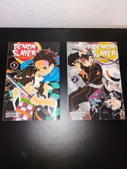Demon Slayer Manga Volumes 1 and 2