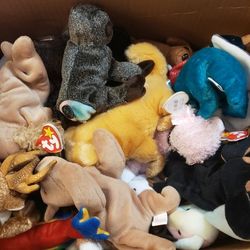 50+ Ty Beanie Babies. Take Entire Lot $200